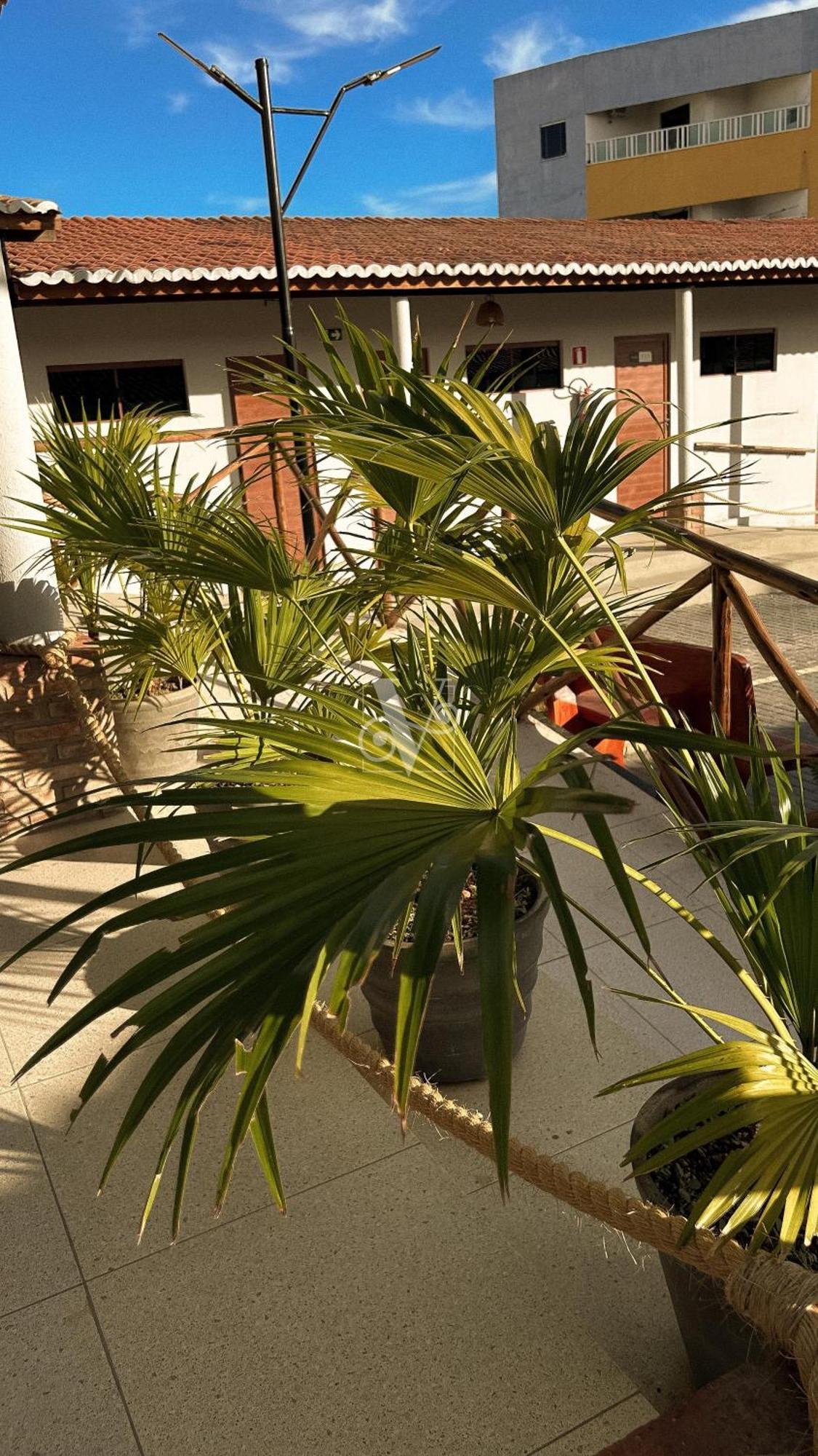 Village Comfort Hotel Canindé de São Francisco エクステリア 写真
